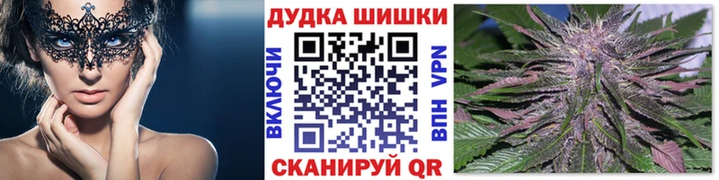 Бошки марихуана Amnesia  Байкальск 